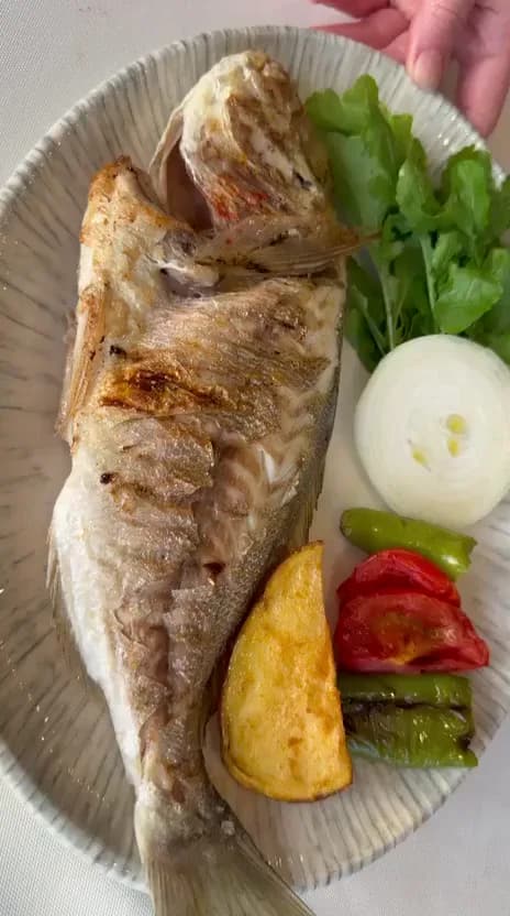 Çipura Izgara